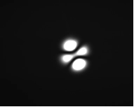W (4)